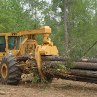 Illegal timber trade from Brazil and the need for robust due diligence